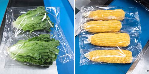 vegetable packing machine 2 vegetable packing machine 2